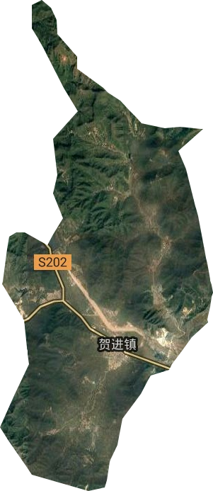 贺进镇卫星图
