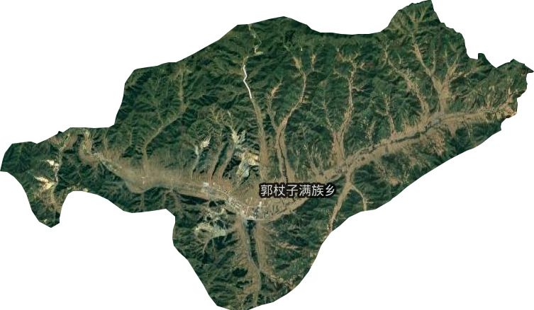 桲椤树镇卫星图