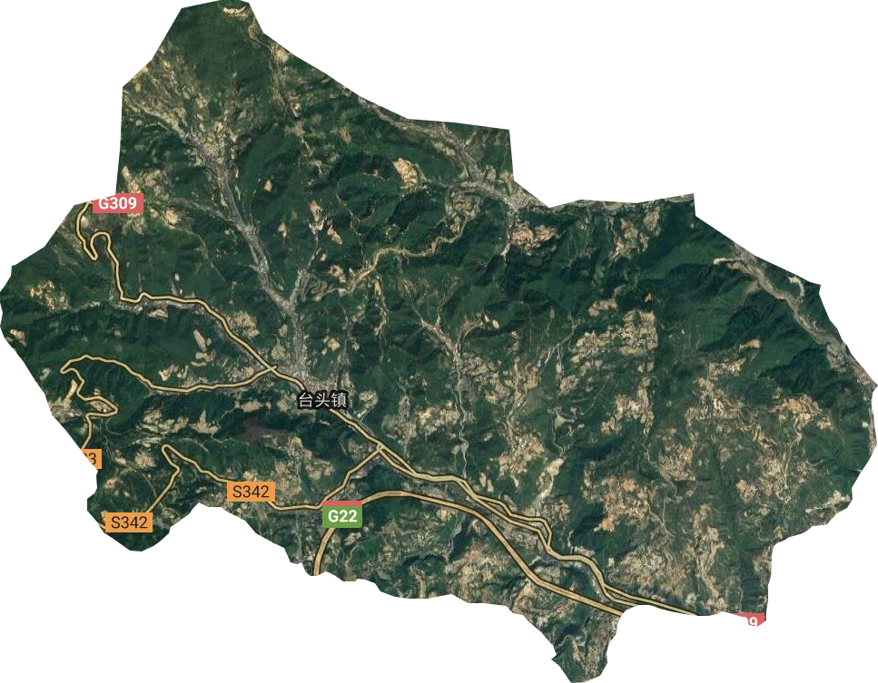 台头镇卫星图
