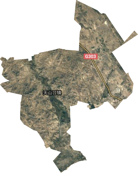天山口镇卫星图