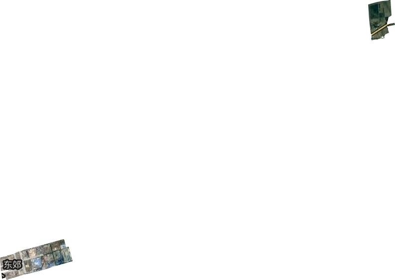 东郊街道卫星图