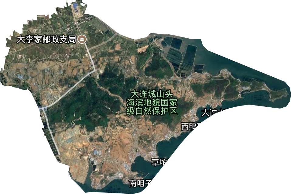 大李家街道卫星图