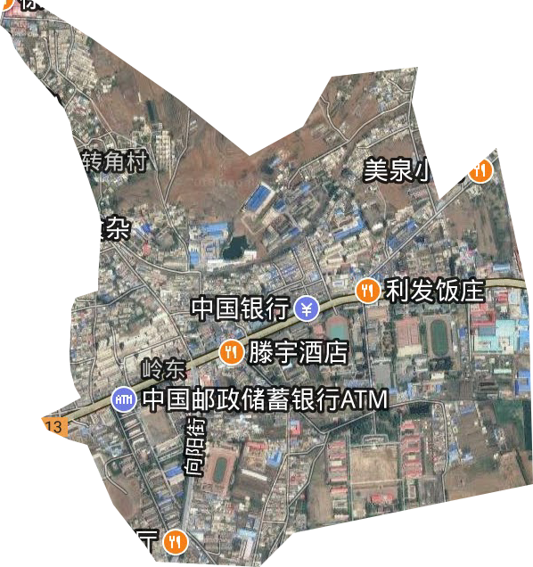 岭东办事处卫星图
