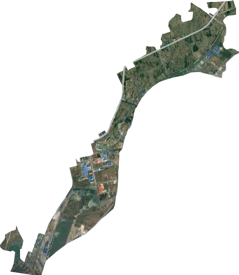 江海街道卫星图