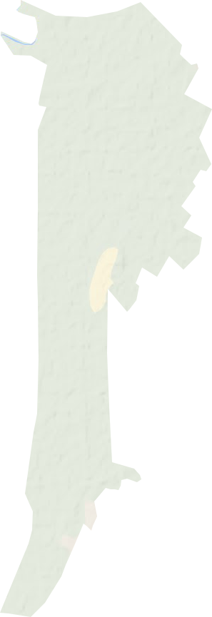 宝力农场地形图