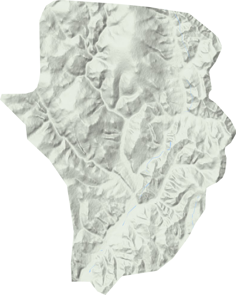 白山林场地形图