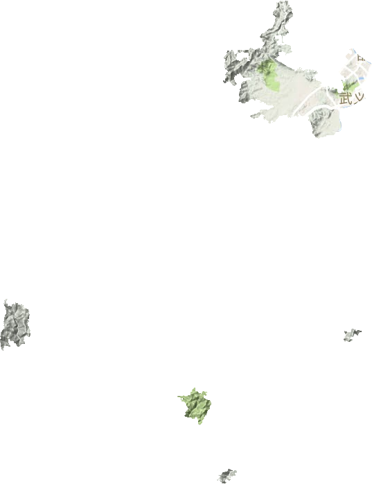 壶山街道地形图
