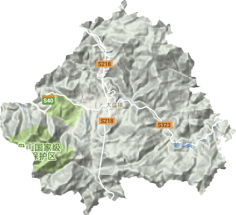 大盘镇地形图