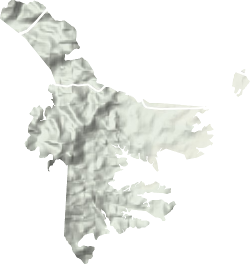 林下林场地形图