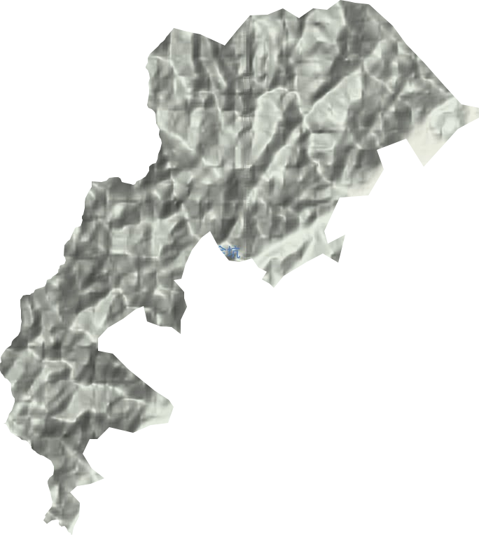 耳口林场地形图