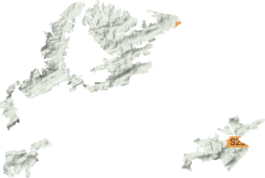 上甘山林场地形图