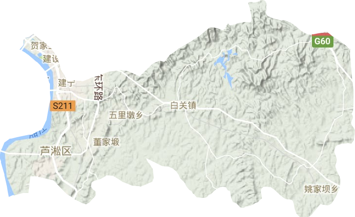 芦淞区地形图