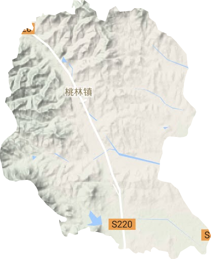 桃林镇地形图