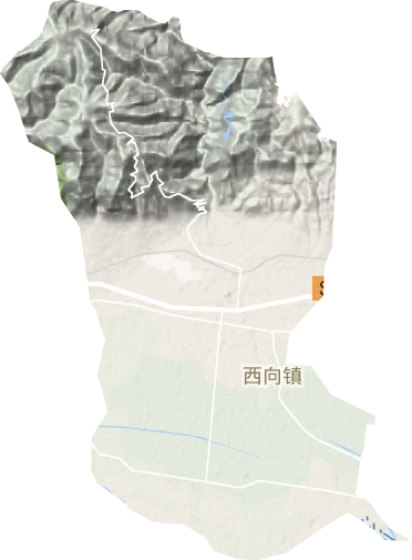 西向镇地形图