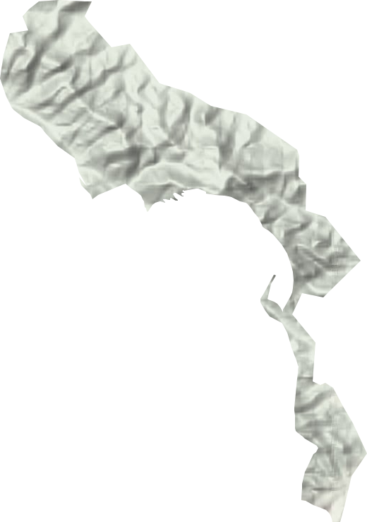 方城大寺林场地形图