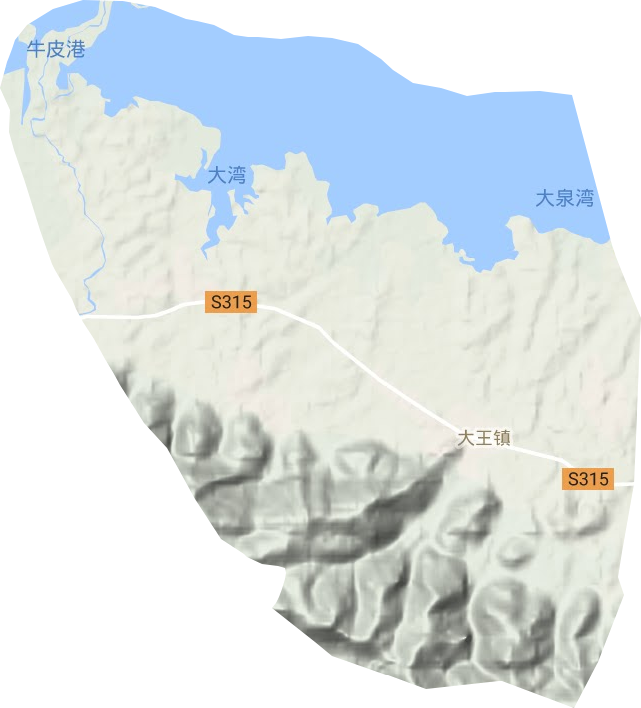 大王镇地形图