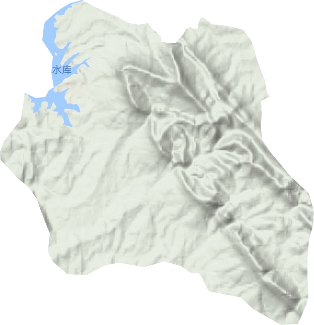 大口林场地形图