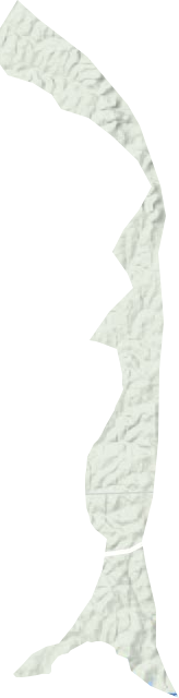 盘石岭林场地形图