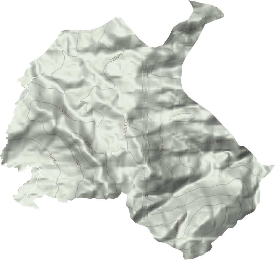 禾洞农林场地形图