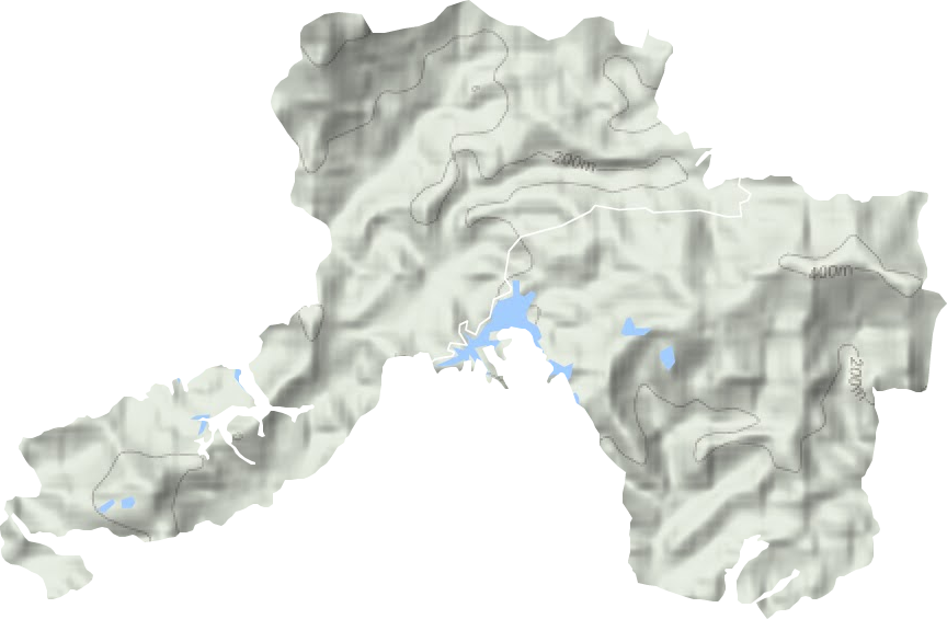 国营新兴县岩头林场地形图