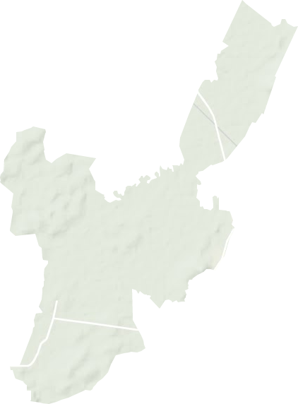 金光农场地形图