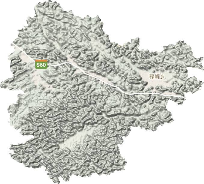 禄峒乡地形图