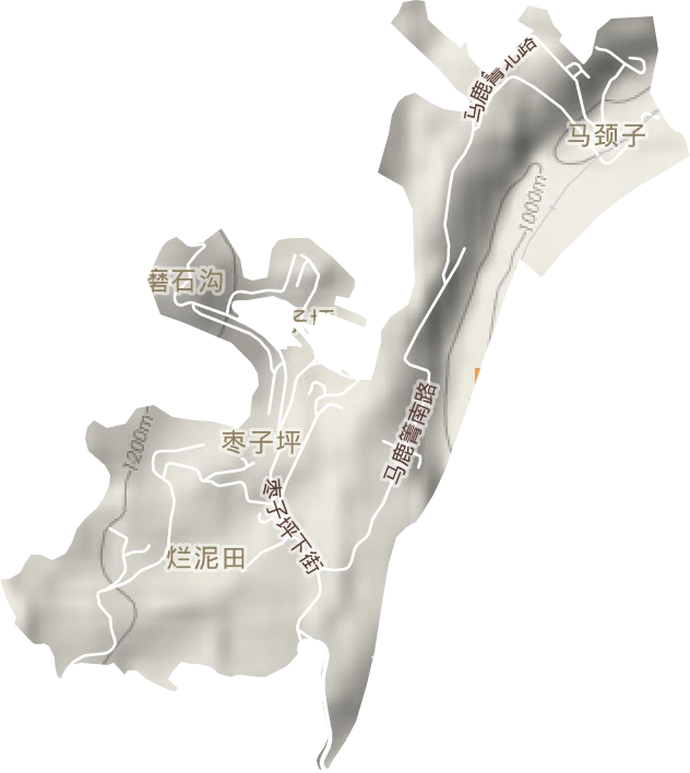 枣子坪街道地形图