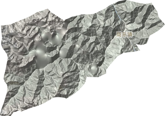陇东镇地形图