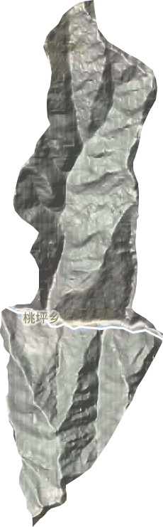 桃坪乡地形图