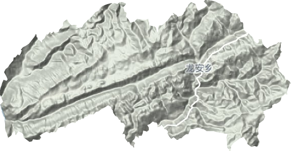 龙安镇地形图