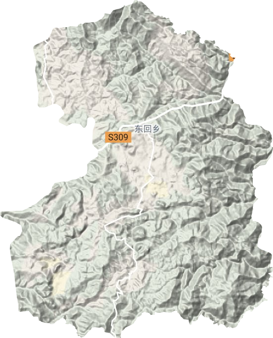 东回镇地形图