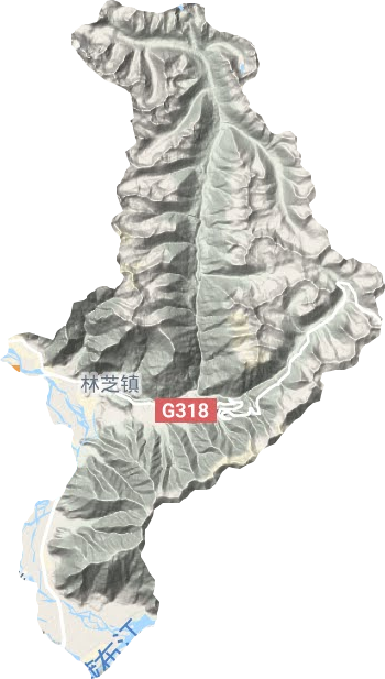 林芝镇地形图