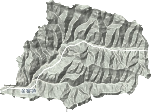 金寨镇地形图