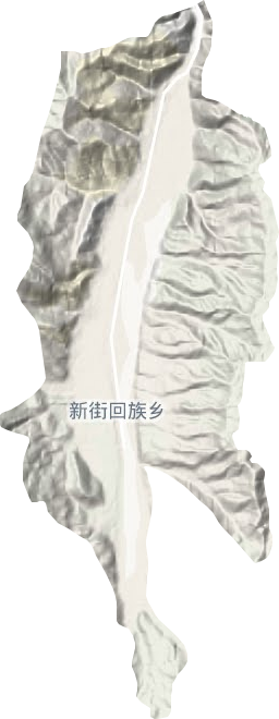 新街回族乡地形图