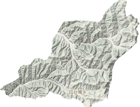 四台嘴乡地形图