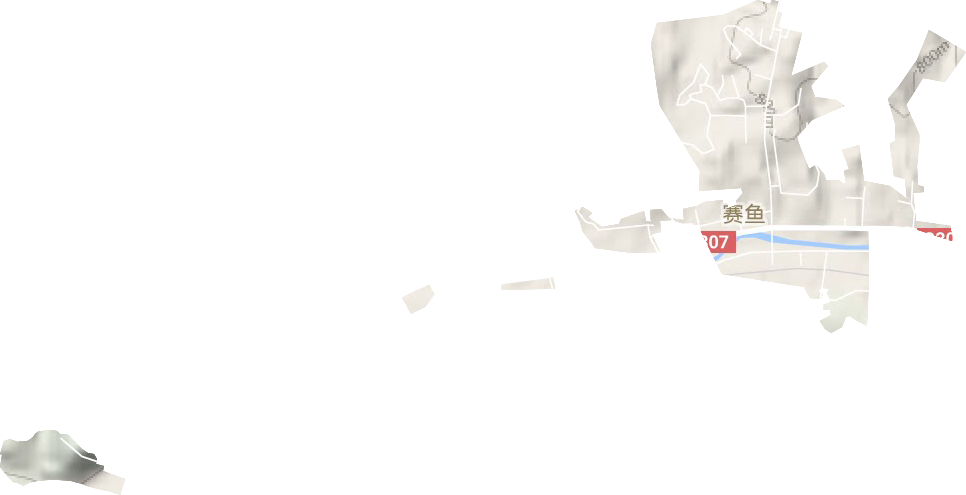 赛鱼街道地形图