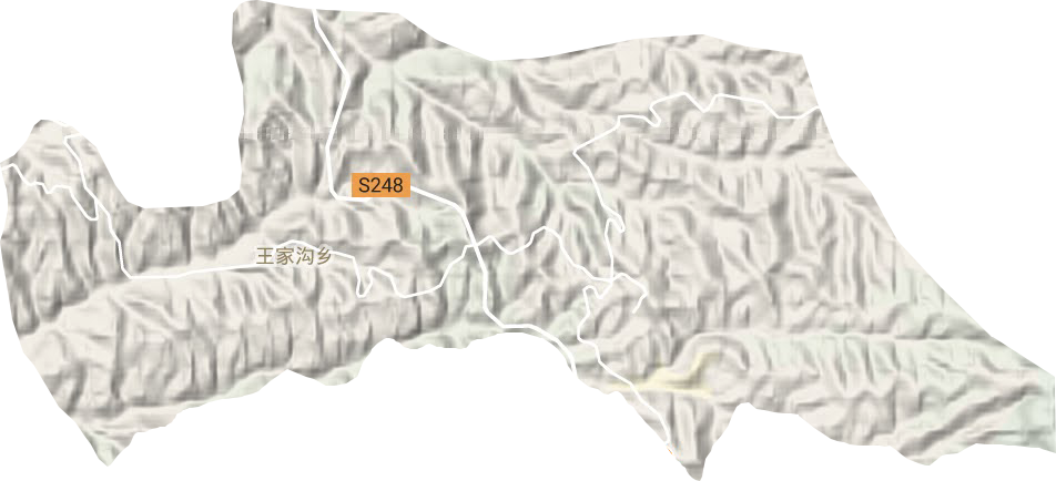 王家沟乡地形图